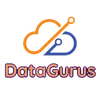 DataGurus LLC